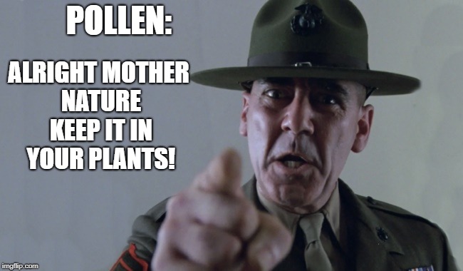 pollen | POLLEN:; ALRIGHT MOTHER NATURE KEEP IT IN YOUR PLANTS! | image tagged in mother nature,plants,alerges | made w/ Imgflip meme maker