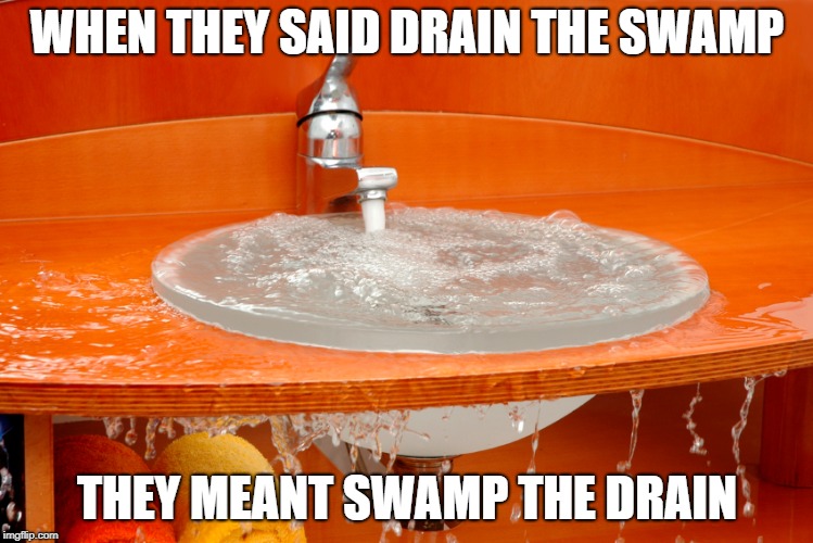 Drain the Swamp | WHEN THEY SAID DRAIN THE SWAMP; THEY MEANT SWAMP THE DRAIN | image tagged in drain the swamp trump,donald trump,drain the swamp,swamp,draintheswamp,trump | made w/ Imgflip meme maker
