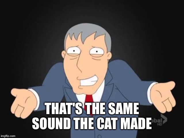 THAT'S THE SAME SOUND THE CAT MADE | made w/ Imgflip meme maker