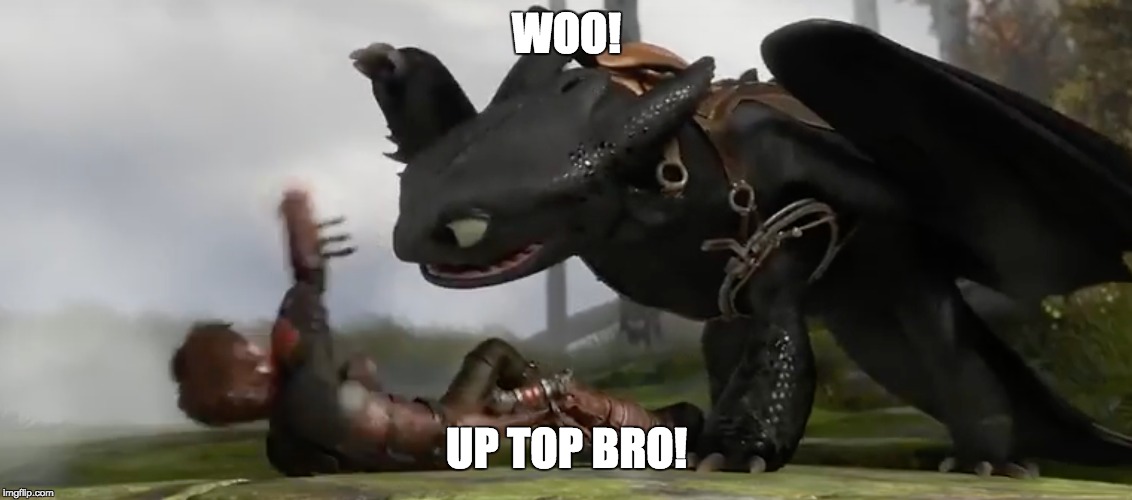 WOO! UP TOP BRO! | image tagged in how to train your dragon,toothless,hiccup | made w/ Imgflip meme maker
