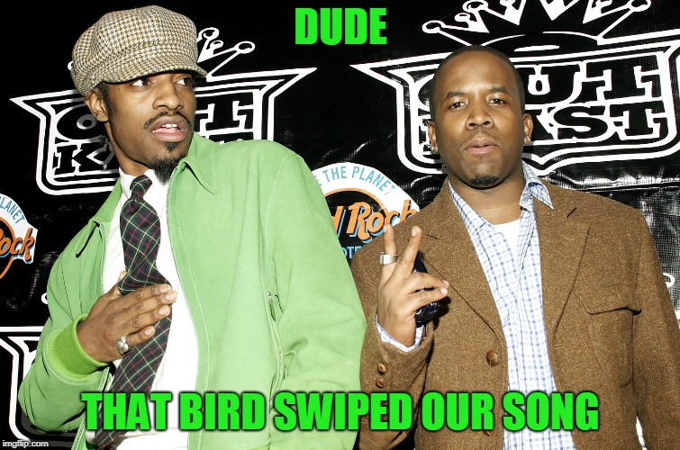 DUDE THAT BIRD SWIPED OUR SONG | made w/ Imgflip meme maker