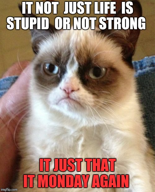 Grumpy Cat Meme | IT NOT  JUST LIFE  IS STUPID  OR NOT STRONG IT JUST THAT IT MONDAY AGAIN | image tagged in memes,grumpy cat | made w/ Imgflip meme maker