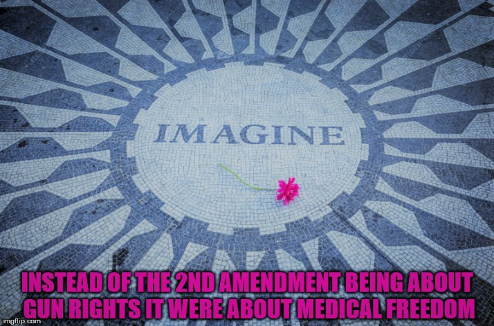 The 2nd Amendment Reimagined | image tagged in medical freedom,2nd amendment,gun rights,imagine,alternate universe | made w/ Imgflip meme maker