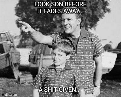 Look Son | LOOK SON BEFORE IT FADES AWAY... A SHIT GIVEN... | image tagged in memes,look son | made w/ Imgflip meme maker