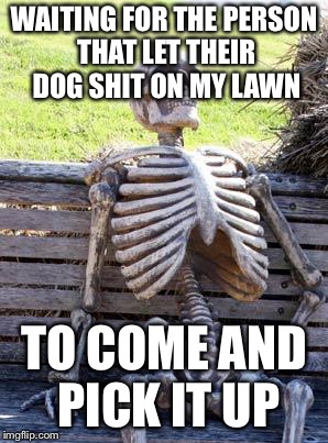 Curb your dog | WAITING FOR THE PERSON THAT LET THEIR DOG SHIT ON MY LAWN; TO COME AND PICK IT UP | image tagged in memes,waiting skeleton | made w/ Imgflip meme maker