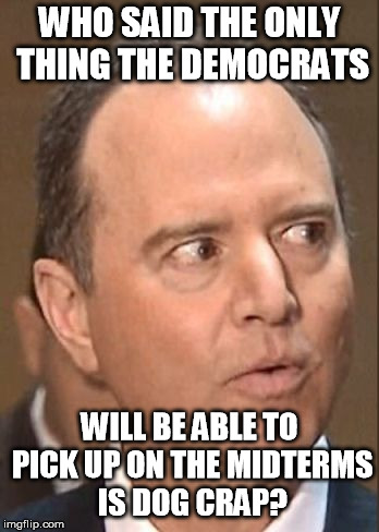 WHO SAID THE ONLY THING THE DEMOCRATS; WILL BE ABLE TO PICK UP ON THE MIDTERMS IS DOG CRAP? | image tagged in schiff | made w/ Imgflip meme maker