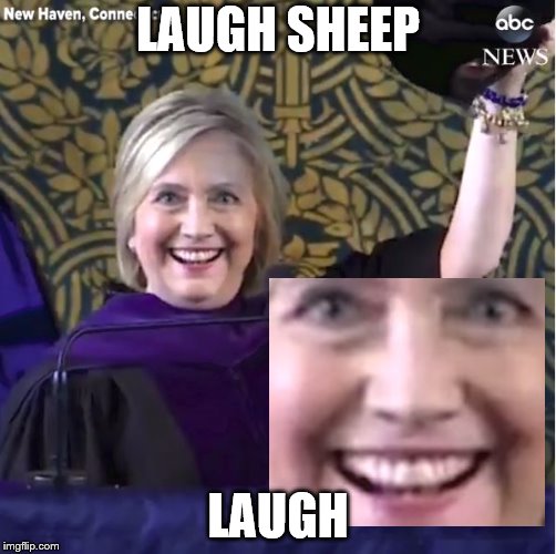 Laugh, sheep | LAUGH SHEEP; LAUGH | image tagged in hillary clinton,creepy | made w/ Imgflip meme maker