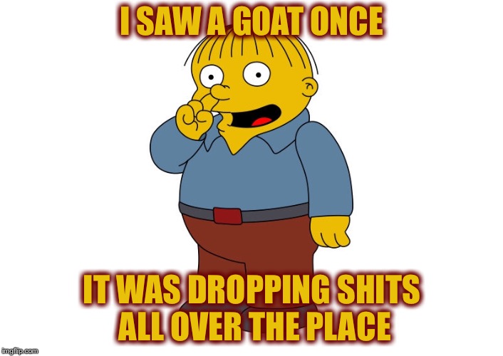 I SAW A GOAT ONCE IT WAS DROPPING SHITS ALL OVER THE PLACE | made w/ Imgflip meme maker