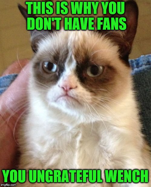 Grumpy Cat Meme | THIS IS WHY YOU DON'T HAVE FANS YOU UNGRATEFUL WENCH | image tagged in memes,grumpy cat | made w/ Imgflip meme maker