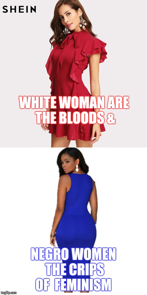 WHITE WOMAN ARE THE BLOODS &; NEGRO WOMEN THE CRIPS OF  FEMINISM | made w/ Imgflip meme maker