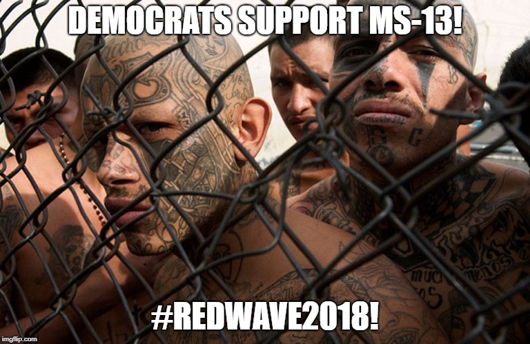 DEMOCRATS SUPPORT MS-13! #REDWAVE2018! | image tagged in red  wave 2018 ms13 | made w/ Imgflip meme maker