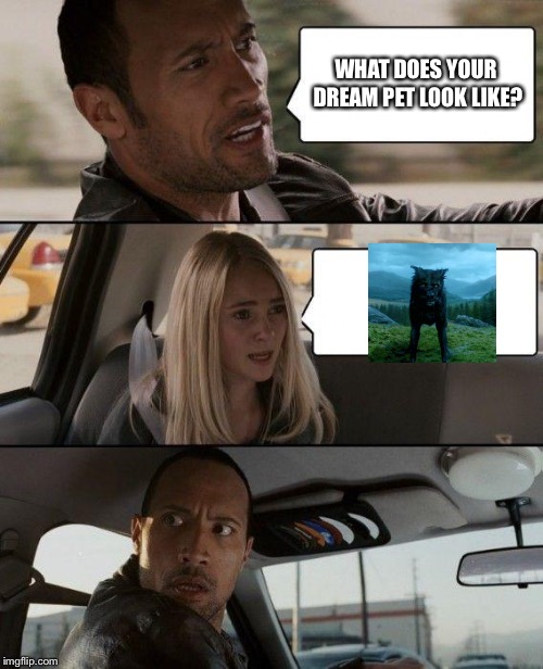 The Rock Driving | WHAT DOES YOUR DREAM PET LOOK LIKE? | image tagged in memes,the rock driving,harry potter,sirius black,pets,dogs | made w/ Imgflip meme maker