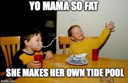 YO MAMA SO FAT SHE MAKES HER OWN TIDE POOL | made w/ Imgflip meme maker