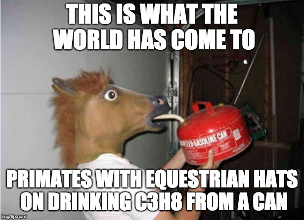 THIS IS WHAT THE WORLD HAS COME TO; PRIMATES WITH EQUESTRIAN HATS ON DRINKING C3H8 FROM A CAN | image tagged in meme | made w/ Imgflip meme maker