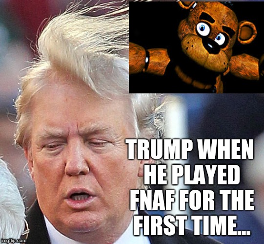 HOW TRUMP GETS HIS HAIR SCREWED UP... | TRUMP WHEN HE PLAYED FNAF FOR THE FIRST TIME... | image tagged in donald trump,trump,fnaf | made w/ Imgflip meme maker