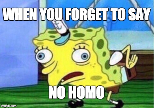 Mocking Spongebob | WHEN YOU FORGET TO SAY; NO HOMO | image tagged in memes,mocking spongebob | made w/ Imgflip meme maker