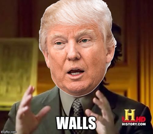 Trump |  WALLS | image tagged in memes,funny,lol,donald trump | made w/ Imgflip meme maker