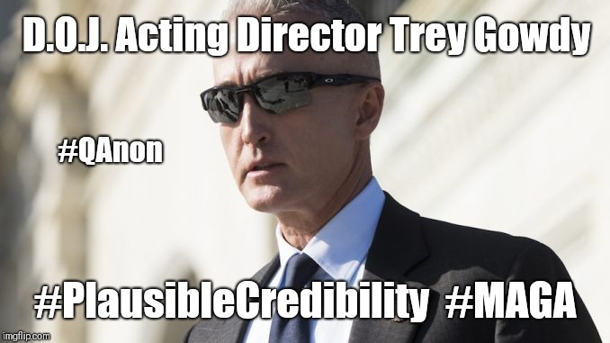 D.O.J. Acting Director Trey Gowdy #PlausibleCredibility #QAnon #MAGA | D.O.J. Acting Director Trey Gowdy; #QAnon; #PlausibleCredibility  #MAGA | image tagged in deep state,doj,donald trump you're fired,trey gowdy,like a boss,maga | made w/ Imgflip meme maker