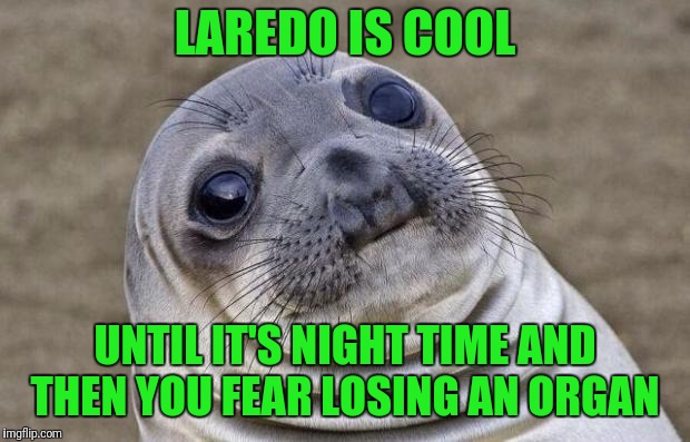 Awkward Moment Sealion Meme | LAREDO IS COOL UNTIL IT'S NIGHT TIME AND THEN YOU FEAR LOSING AN ORGAN | image tagged in memes,awkward moment sealion | made w/ Imgflip meme maker