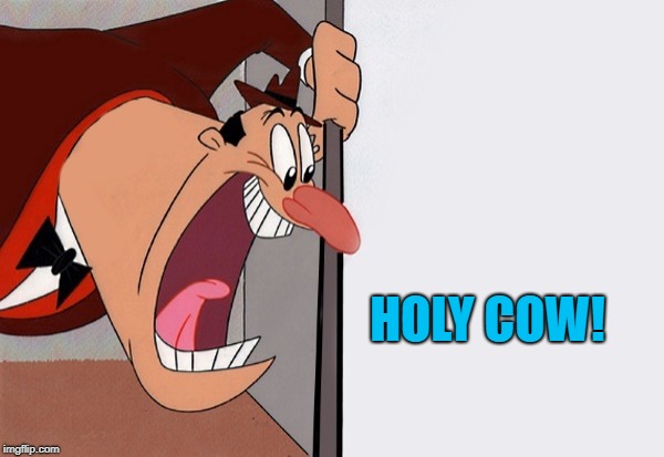 yelling guy | HOLY COW! | image tagged in yelling guy | made w/ Imgflip meme maker
