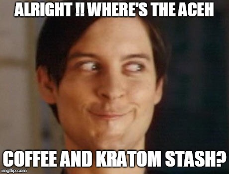 Spiderman Peter Parker | ALRIGHT !! WHERE'S THE ACEH; COFFEE AND KRATOM STASH? | image tagged in memes,spiderman peter parker | made w/ Imgflip meme maker