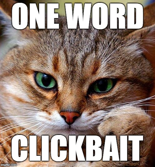 annoyed cat | ONE WORD; CLICKBAIT | image tagged in annoyed cat | made w/ Imgflip meme maker