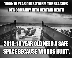 Normandy | 1944: 18 YEAR OLDS STORM THE BEACHES OF NORMANDY INTO CERTAIN DEATH; 2018: 18 YEAR OLD NEED A SAFE SPACE BECAUSE 'WORDS HURT'. | image tagged in normandy | made w/ Imgflip meme maker