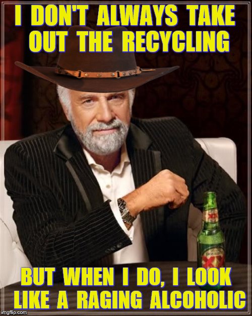 I  DON'T  ALWAYS  TAKE  OUT  THE  RECYCLING BUT  WHEN  I  DO,  I  LOOK  LIKE  A  RAGING  ALCOHOLIC | made w/ Imgflip meme maker