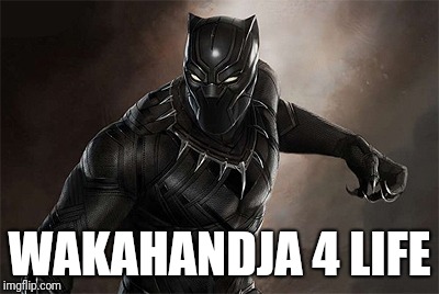 Black Panther | WAKAHANDJA 4 LIFE | image tagged in black panther | made w/ Imgflip meme maker