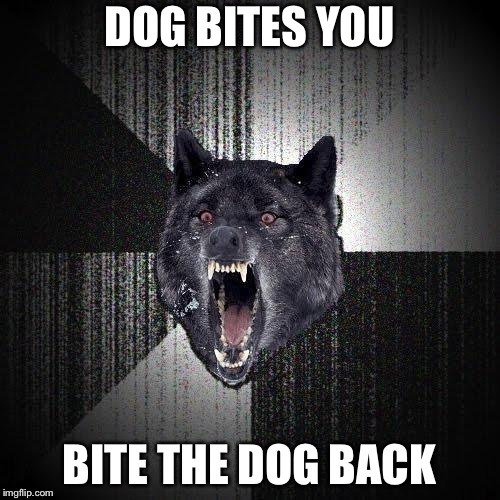 Insanity Wolf Meme | DOG BITES YOU; BITE THE DOG BACK | image tagged in memes,insanity wolf | made w/ Imgflip meme maker