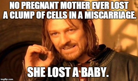 One Does Not Simply Meme | NO PREGNANT MOTHER EVER LOST A CLUMP OF CELLS IN A MISCARRIAGE. SHE LOST A BABY. | image tagged in memes,one does not simply | made w/ Imgflip meme maker