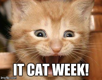 Excited Cat | IT CAT WEEK! | image tagged in memes,excited cat | made w/ Imgflip meme maker
