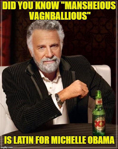 The Most Interesting Man In The World Meme | DID YOU KNOW "MANSHEIOUS VAGNBALLIOUS"; IS LATIN FOR MICHELLE OBAMA | image tagged in memes,the most interesting man in the world | made w/ Imgflip meme maker