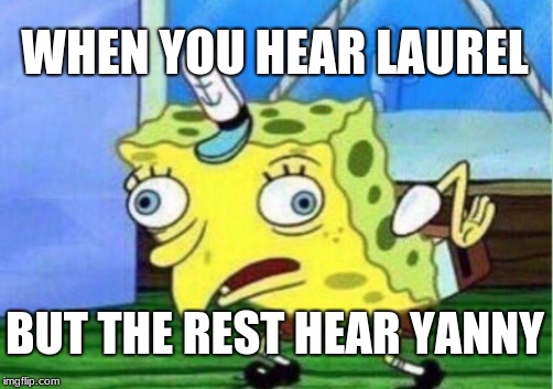 Mocking Spongebob | WHEN YOU HEAR LAUREL; BUT THE REST HEAR YANNY | image tagged in memes,mocking spongebob | made w/ Imgflip meme maker