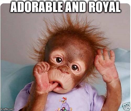 ADORABLE AND ROYAL | made w/ Imgflip meme maker