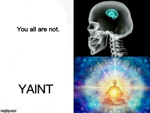 Yeah | You all are not. YAINT | image tagged in yaint,expanding brain,lol,language | made w/ Imgflip meme maker