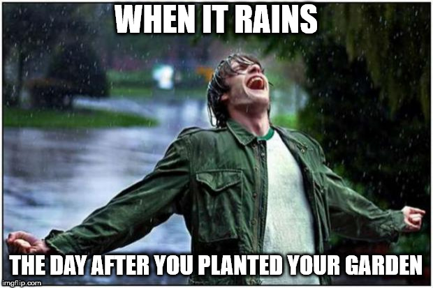 Extreme Rain Happiness | WHEN IT RAINS; THE DAY AFTER YOU PLANTED YOUR GARDEN | image tagged in extreme rain happiness | made w/ Imgflip meme maker