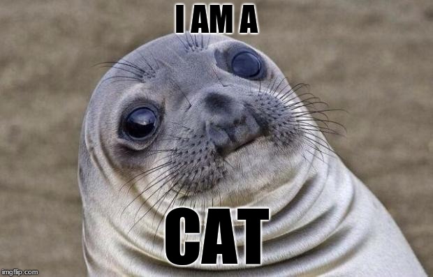 Awkward Moment Sealion | I AM A; CAT | image tagged in memes,awkward moment sealion | made w/ Imgflip meme maker