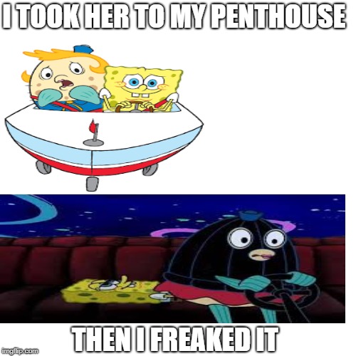 I TOOK HER TO MY PENTHOUSE; THEN I FREAKED IT | image tagged in spongebob | made w/ Imgflip meme maker