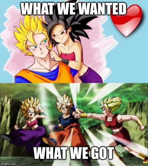 WHAT WE WANTED; WHAT WE GOT | image tagged in anime fanfic | made w/ Imgflip meme maker
