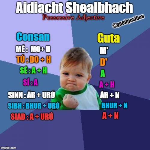 Success Kid Meme | Aidiacht Shealbhach; Possessive Adjective; @gaeilgevibes; Consan; Guta; MÉ :  MO+ H; M'; TÚ : DO + H; D'; SÉ : A + H; A; SÍ : A; A + H; SINN : ÁR + URÚ; ÁR + N; SIBH : BHUR + URÚ; BHUR + N; SIAD : A + URÚ; A + N | image tagged in memes,success kid | made w/ Imgflip meme maker