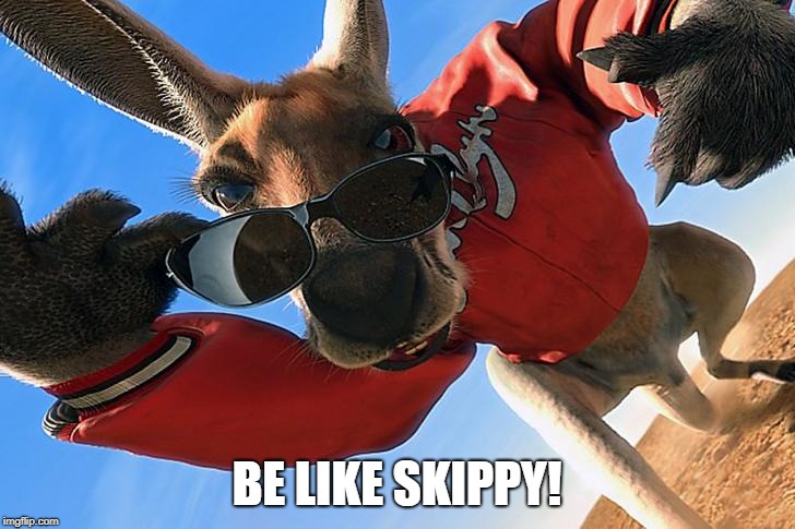 Kangaroo Sunglasses | BE LIKE SKIPPY! | image tagged in kangaroo sunglasses | made w/ Imgflip meme maker