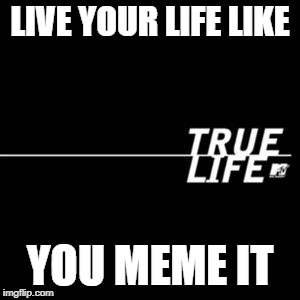 Life, Meme it | LIVE YOUR LIFE LIKE; YOU MEME IT | image tagged in true life,memes | made w/ Imgflip meme maker