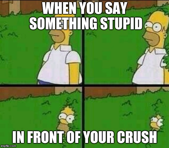the story of my life | WHEN YOU SAY SOMETHING STUPID; IN FRONT OF YOUR CRUSH | image tagged in homer simpson nope | made w/ Imgflip meme maker