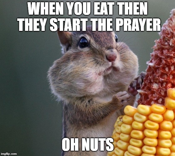Thanksgiving Squirrel | WHEN YOU EAT THEN THEY START THE PRAYER; OH NUTS | image tagged in thanksgiving squirrel | made w/ Imgflip meme maker