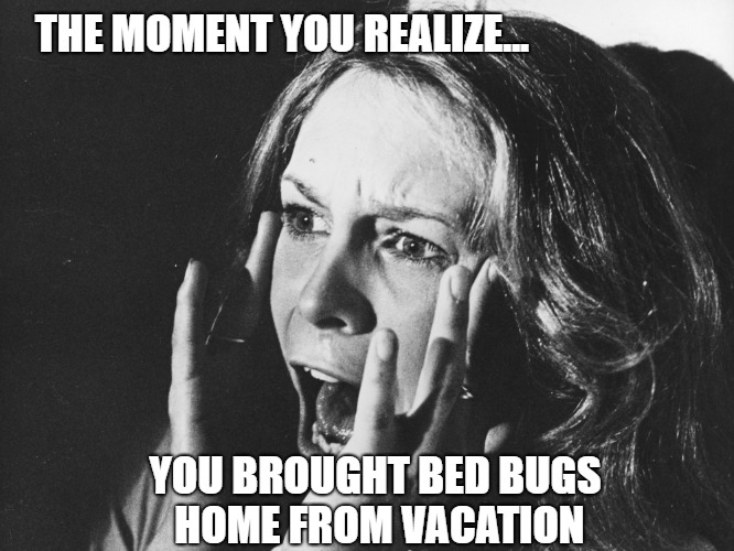 Jamie Lee screams in B/W | THE MOMENT YOU REALIZE... YOU BROUGHT BED BUGS HOME FROM VACATION | image tagged in jamie lee screams in b/w | made w/ Imgflip meme maker