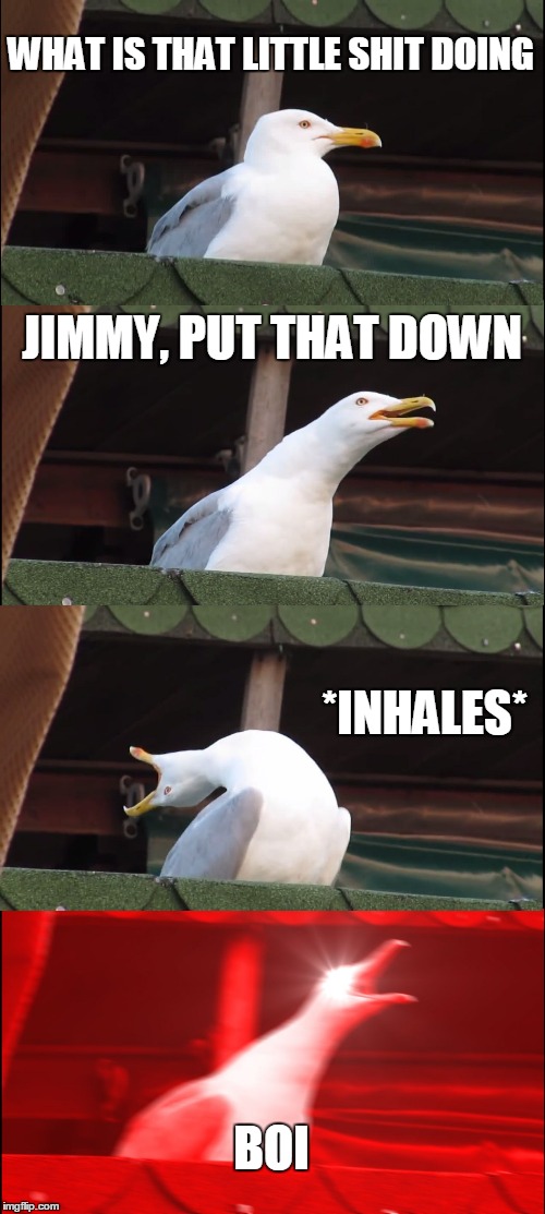 Inhaling Seagull | WHAT IS THAT LITTLE SHIT DOING; JIMMY, PUT THAT DOWN; *INHALES*; BOI | image tagged in memes,inhaling seagull | made w/ Imgflip meme maker