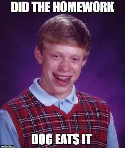 Bad Luck Brian | DID THE HOMEWORK; DOG EATS IT | image tagged in memes,bad luck brian | made w/ Imgflip meme maker