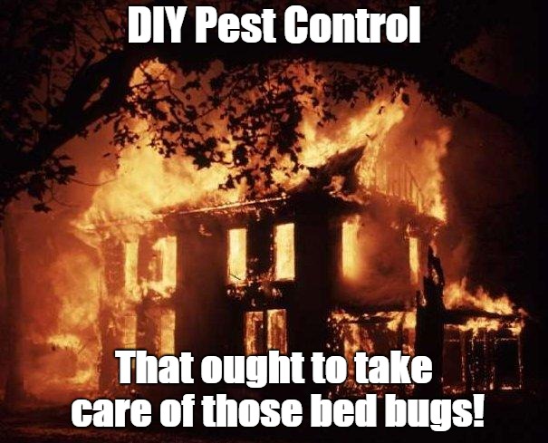 House Fire | DIY Pest Control; That ought to take care of those bed bugs! | image tagged in house fire | made w/ Imgflip meme maker