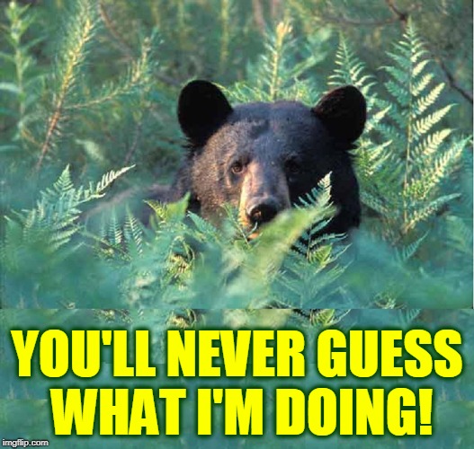 When You Come Upon a Bear in the Woods | YOU'LL NEVER GUESS WHAT I'M DOING! | image tagged in vince vance,is the pope catholic,does a bear shit in the woods,does the pope shit in the woods,is the bear catholic,bears | made w/ Imgflip meme maker